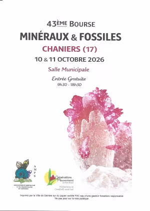vente exposition MINERAUX ET FOSSILES