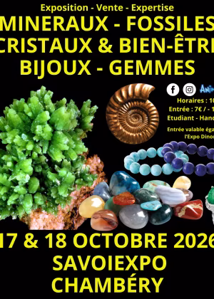 7ème Salon Minéraux Fossiles Cristaux