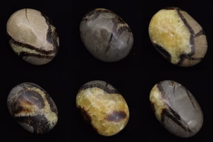 Septaria