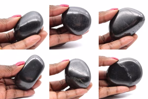 Shungites