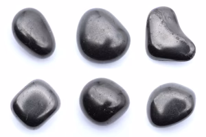 Shungites