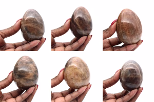 Oeuf