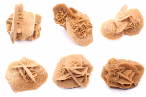Rose des sables