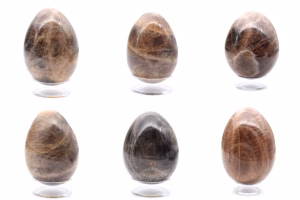 Oeuf