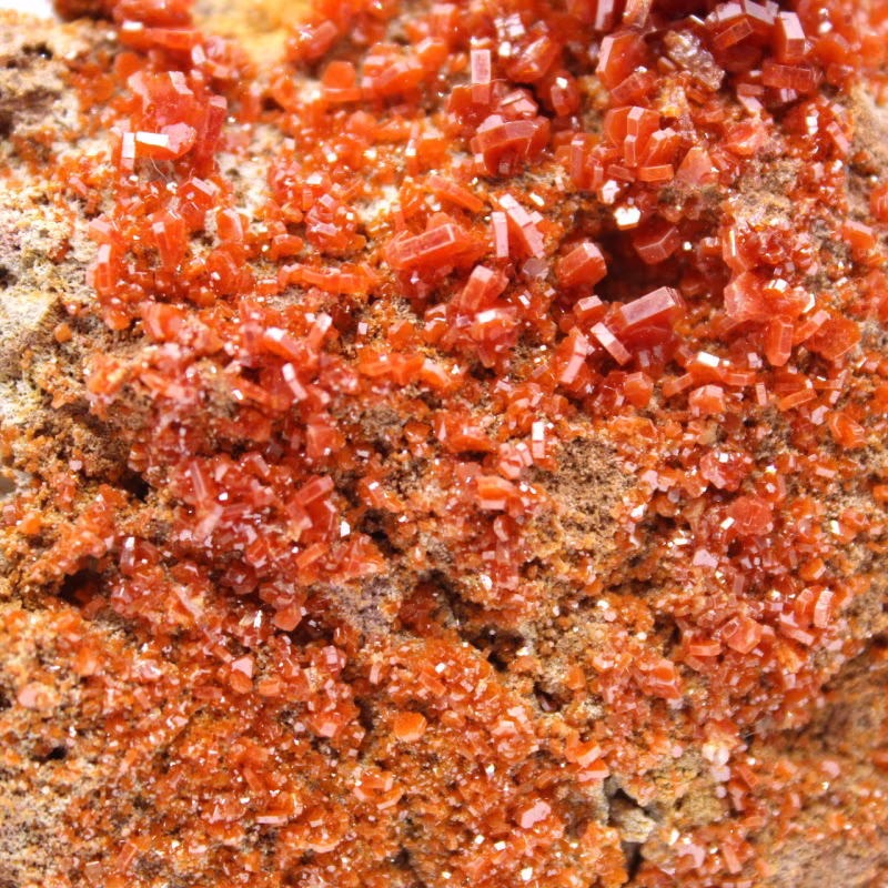 Découvrez la vanadinite : un minéral aux cristaux hexagonaux d'un rouge éclatant vanadinite maroc 049