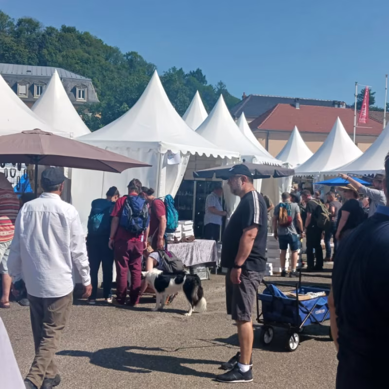 Mineral & Gem 2025 : un salon minéralogique international majeur allee smam 2025