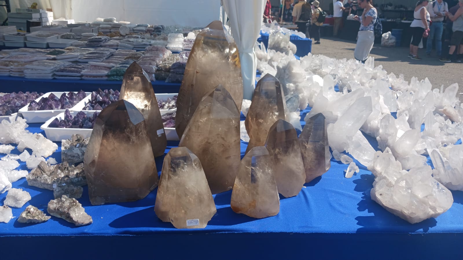 Mineral & Gem 2025 : un salon minéralogique international majeur