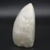 Roche de garniérite - 2
