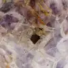 Forme libre d’améthyste - 5