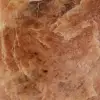 pierre de lune rose microcline polie de Madagascar - 5