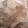 Pierre d'agate fleur naturelle - 5