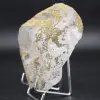 Pyrite sur calcite - 2