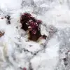 Pierre d'Erythrite - 2