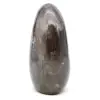 Roche polie en quartz fumé - 1