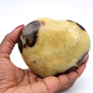 Coeur en septaria