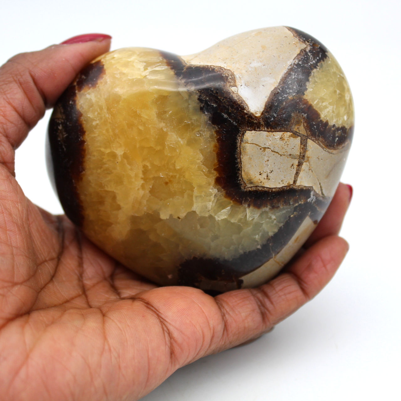Coeur en septaria