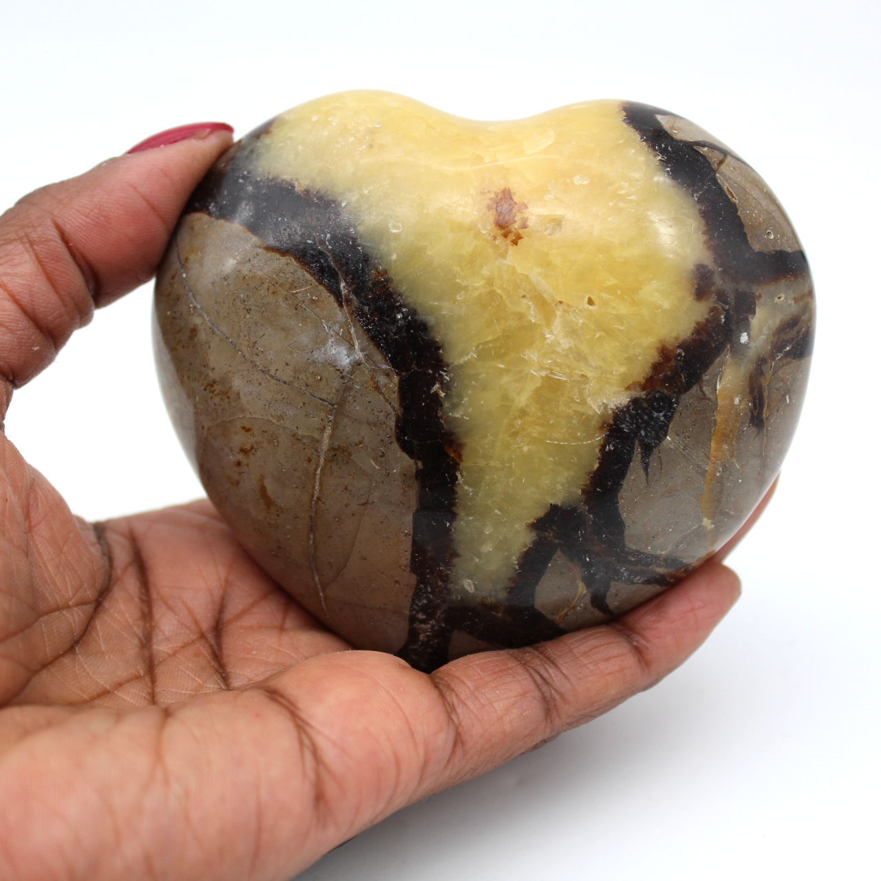 Coeur en septaria