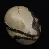 Galet en septaria - 0