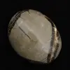 Galet en septaria - 2