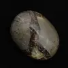 Galet en septaria - 2