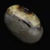 Galet en septaria - 2