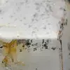 Prisme de quartz avec inclusion - 5