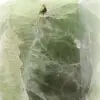 Heptaèdre en Fluorite verte - 8