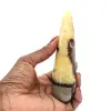 Baton de Septaria poli - 1