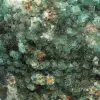 Fluorite cristallisée en cube - 6