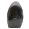 Roche polie en diopside - 1