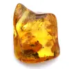 Ambre - 3