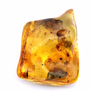 Ambre