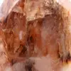 Forme libre polie en quartz rouge - 6