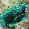 Dioptase - 5