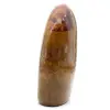 Jaspe polie forme polie - 5
