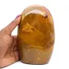Jaspe polie forme polie - 6