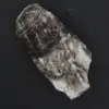 Roch de jaspe zèbre - 1