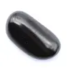Shungite d'ornement - 0