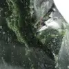 Jade néphrite polie d'ornement - 7