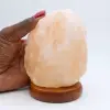 Lampe en sel Himalayen - 2