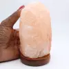 Sel de l’Himalaya - 2