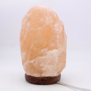 Lampe en Sel rose de l’Himalaya