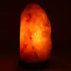 Lampe en Sel rose de l’Himalaya - 1