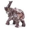 Éléphant - 2