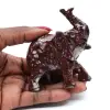 Éléphant - 3