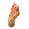 Vanadinite du Maroc - 2