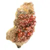 Cristallisation de vanadinite naturelle - 0