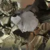 Grands cristaux de pyrite avec calcite - 10