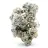 Pyrite cristallisée 