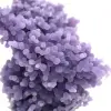 Calcédoine grappe de raisin - 10
